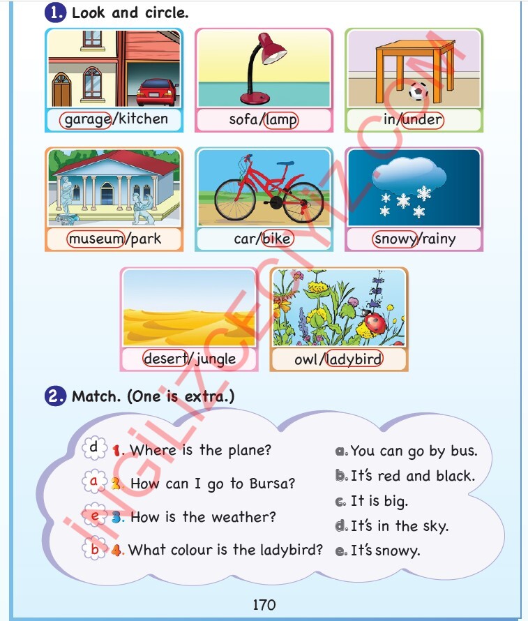 3. Sınıf Sdr Dikey Yayıncılık İngilizce Ders Kitabı Sayfa 170 Cevapları