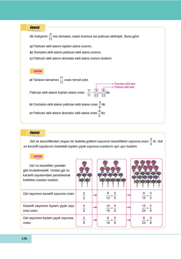 6. Sınıf Doğa Yayınları Matematik Ders Kitabı Sayfa 170 Cevapları