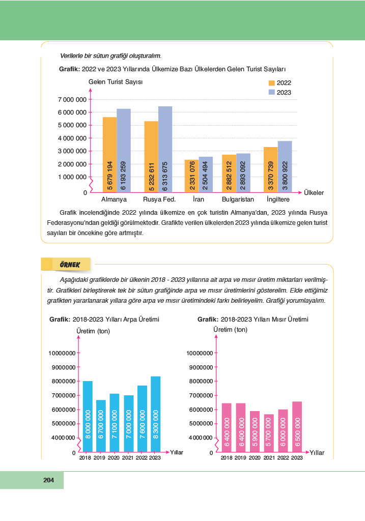 6. Sınıf Doğa Yayınları Matematik Ders Kitabı Sayfa 204 Cevapları