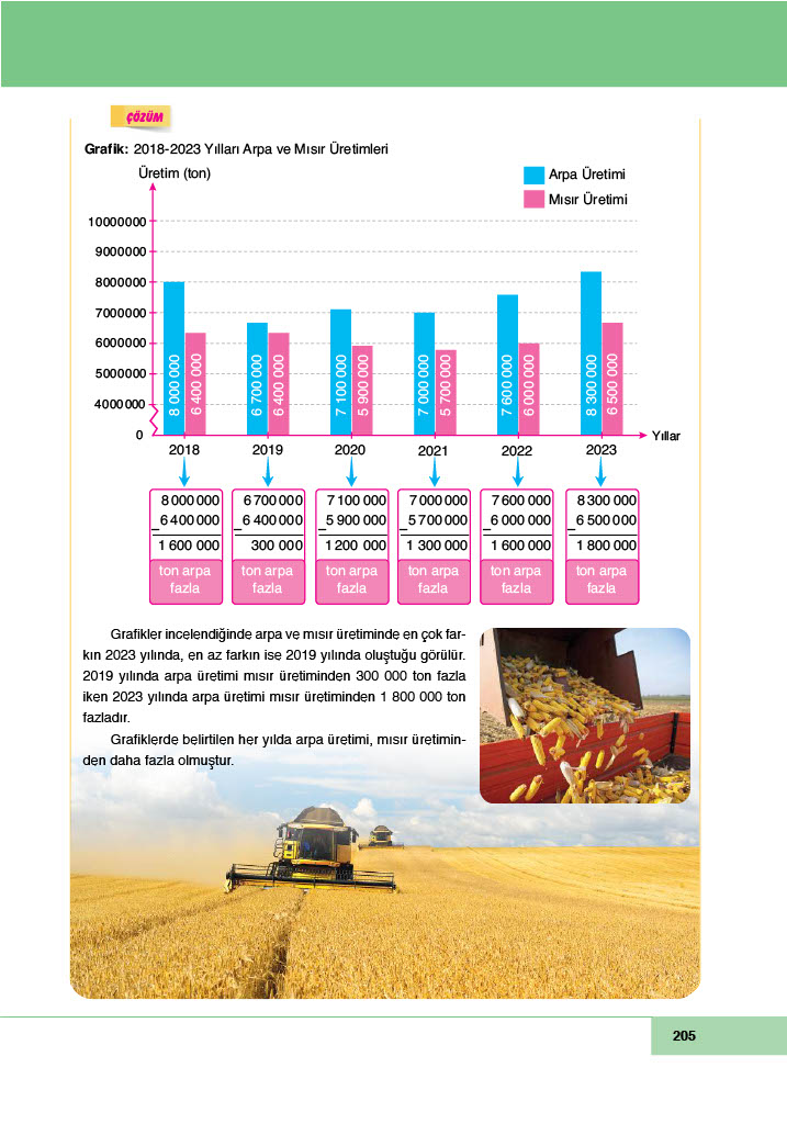 6. Sınıf Doğa Yayınları Matematik Ders Kitabı Sayfa 205 Cevapları