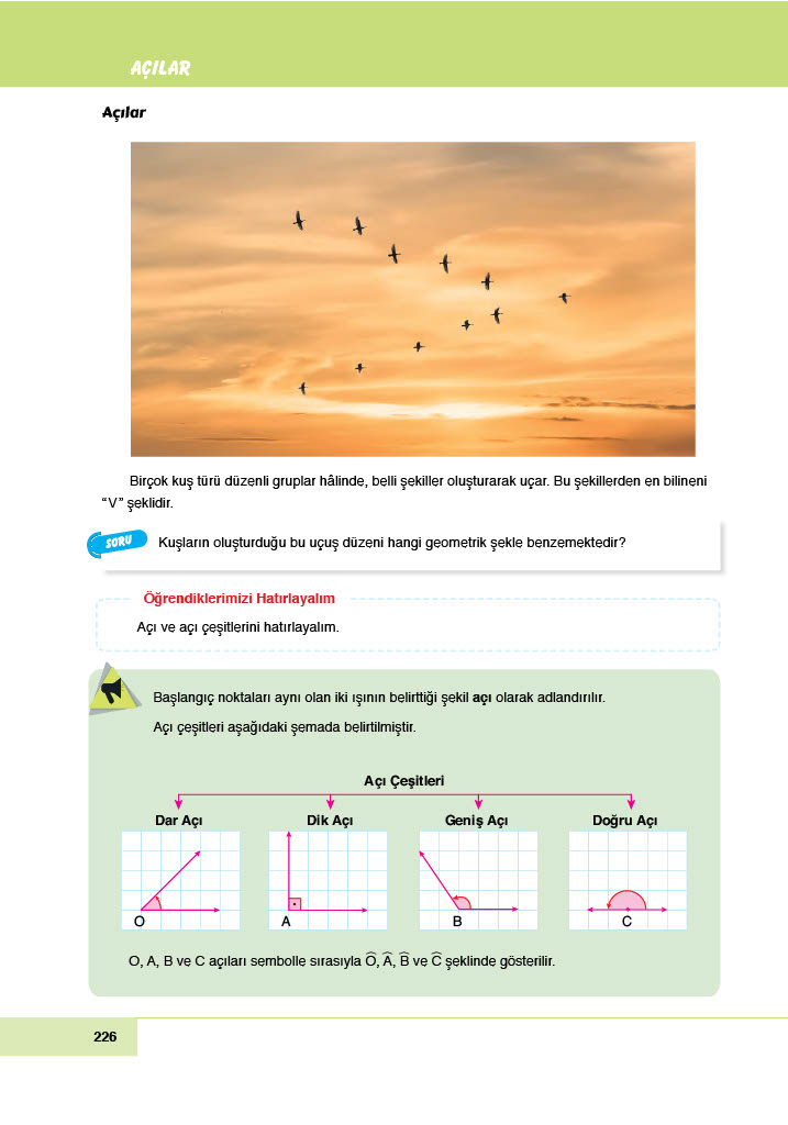 6. Sınıf Doğa Yayınları Matematik Ders Kitabı Sayfa 226 Cevapları