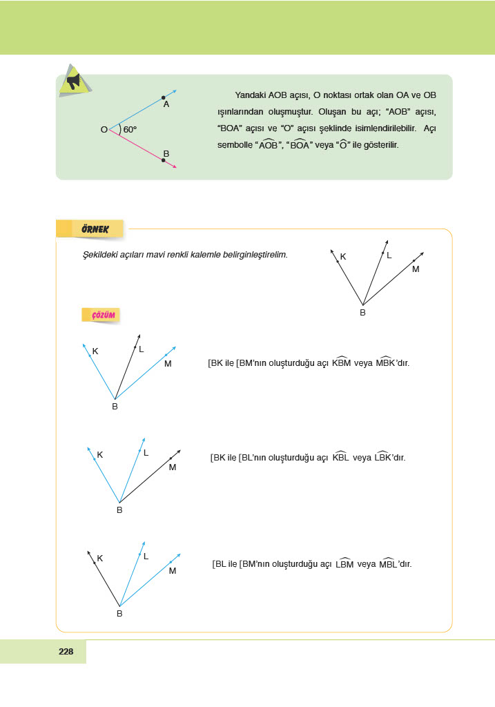 6. Sınıf Doğa Yayınları Matematik Ders Kitabı Sayfa 228 Cevapları