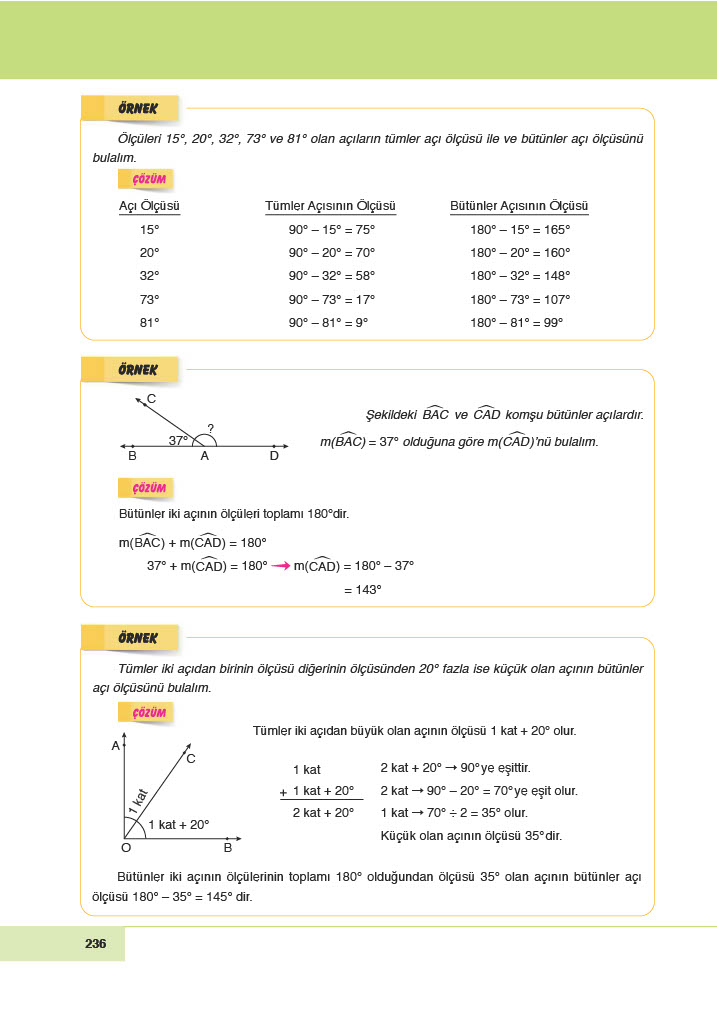 6. Sınıf Doğa Yayınları Matematik Ders Kitabı Sayfa 236 Cevapları