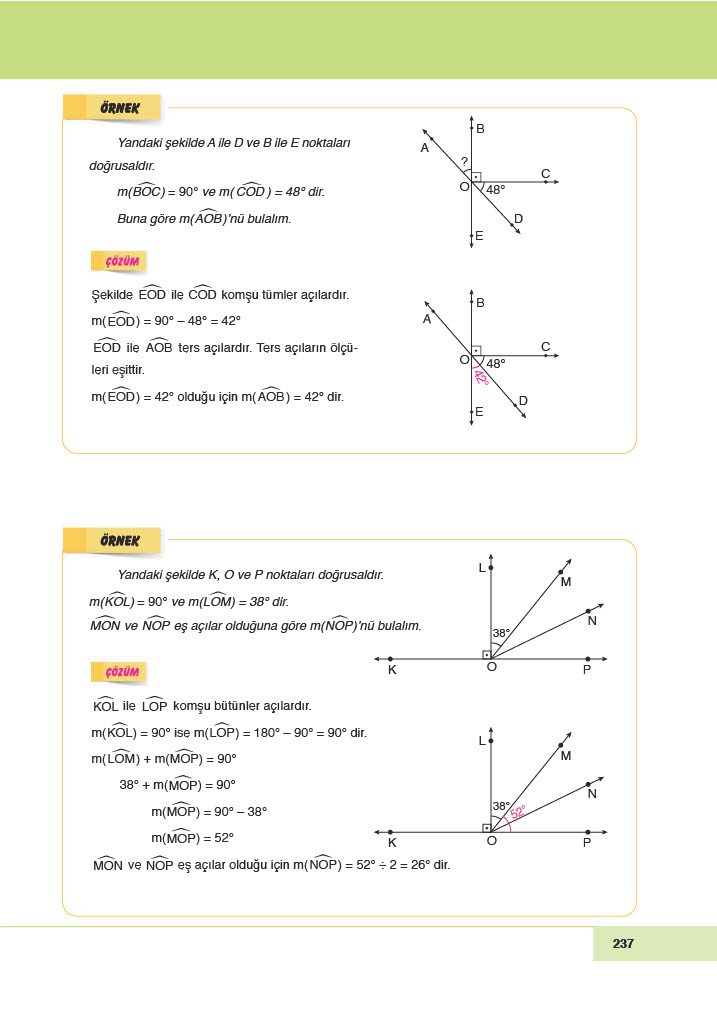 6. Sınıf Doğa Yayınları Matematik Ders Kitabı Sayfa 237 Cevapları