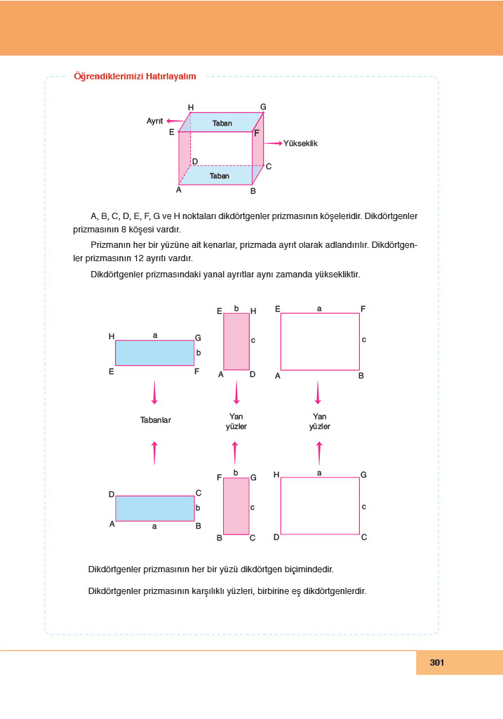 6. Sınıf Doğa Yayınları Matematik Ders Kitabı Sayfa 301 Cevapları