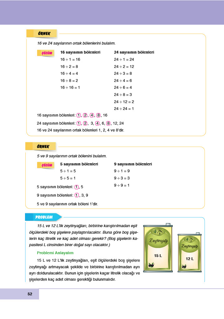 6. Sınıf Doğa Yayınları Matematik Ders Kitabı Sayfa 52 Cevapları