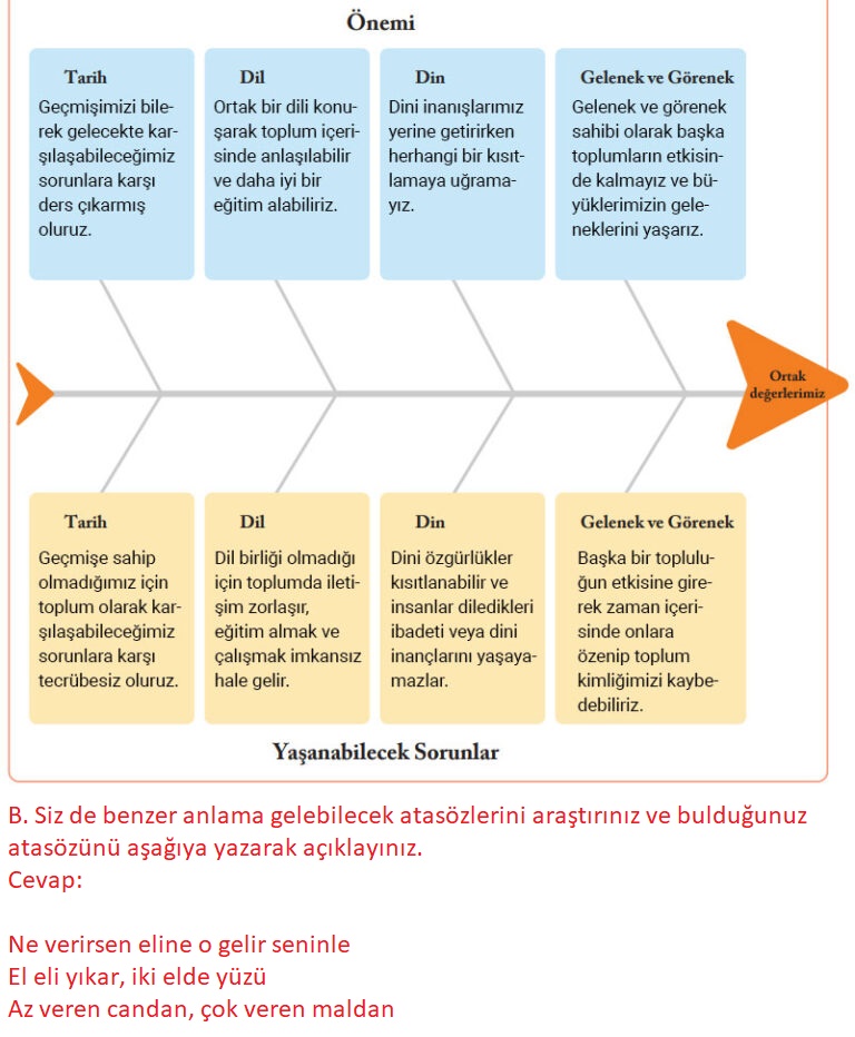 6. Sınıf Evos Yayınları Sosyal Bilgiler Ders Kitabı Sayfa 19 Cevapları