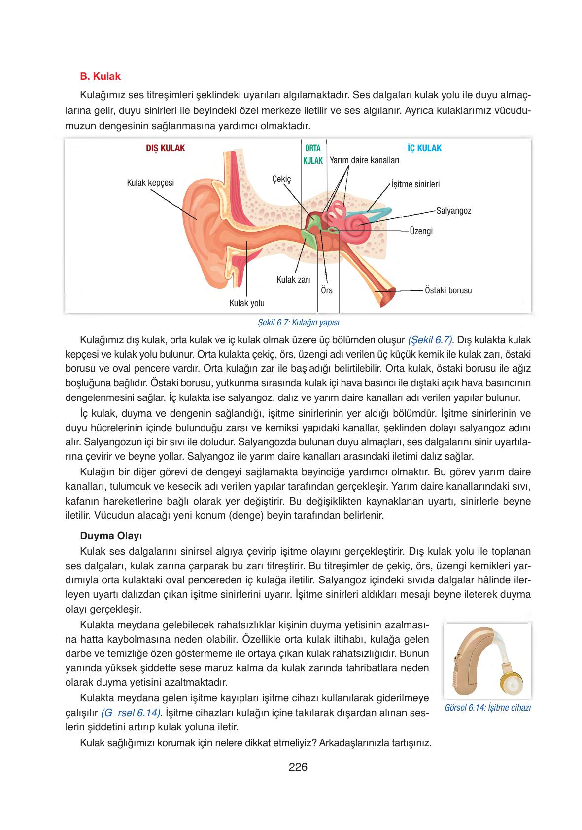 6. Sınıf Gün Yayınları Fen Bilimleri Ders Kitabı Sayfa 226 Cevapları