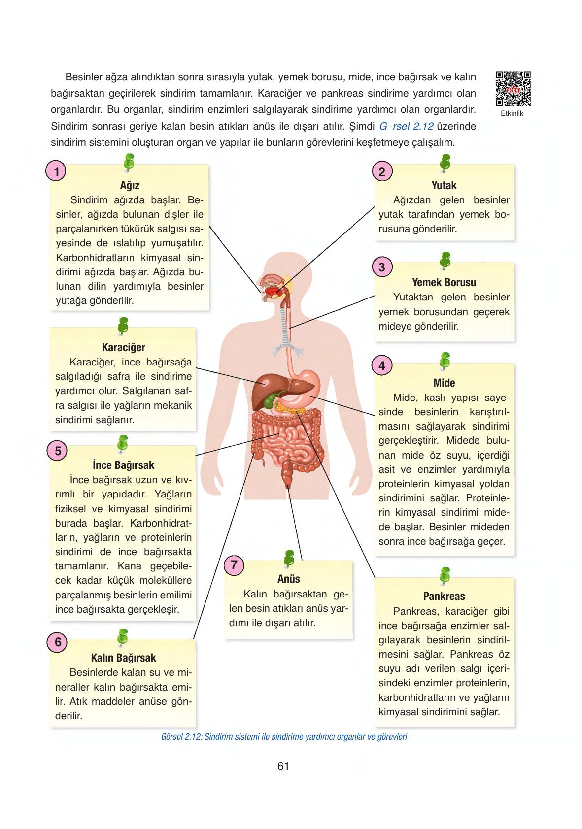 6. Sınıf Gün Yayınları Fen Bilimleri Ders Kitabı Sayfa 61 Cevapları