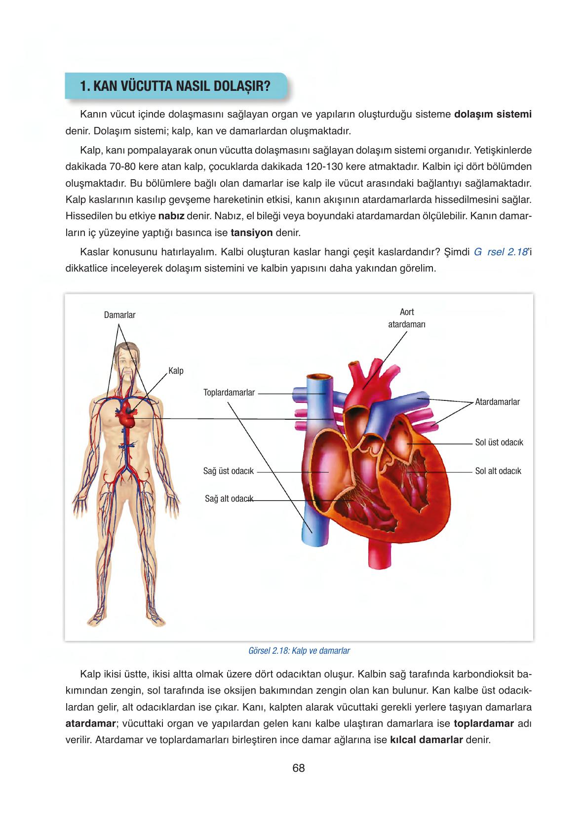 6. Sınıf Gün Yayınları Fen Bilimleri Ders Kitabı Sayfa 68 Cevapları