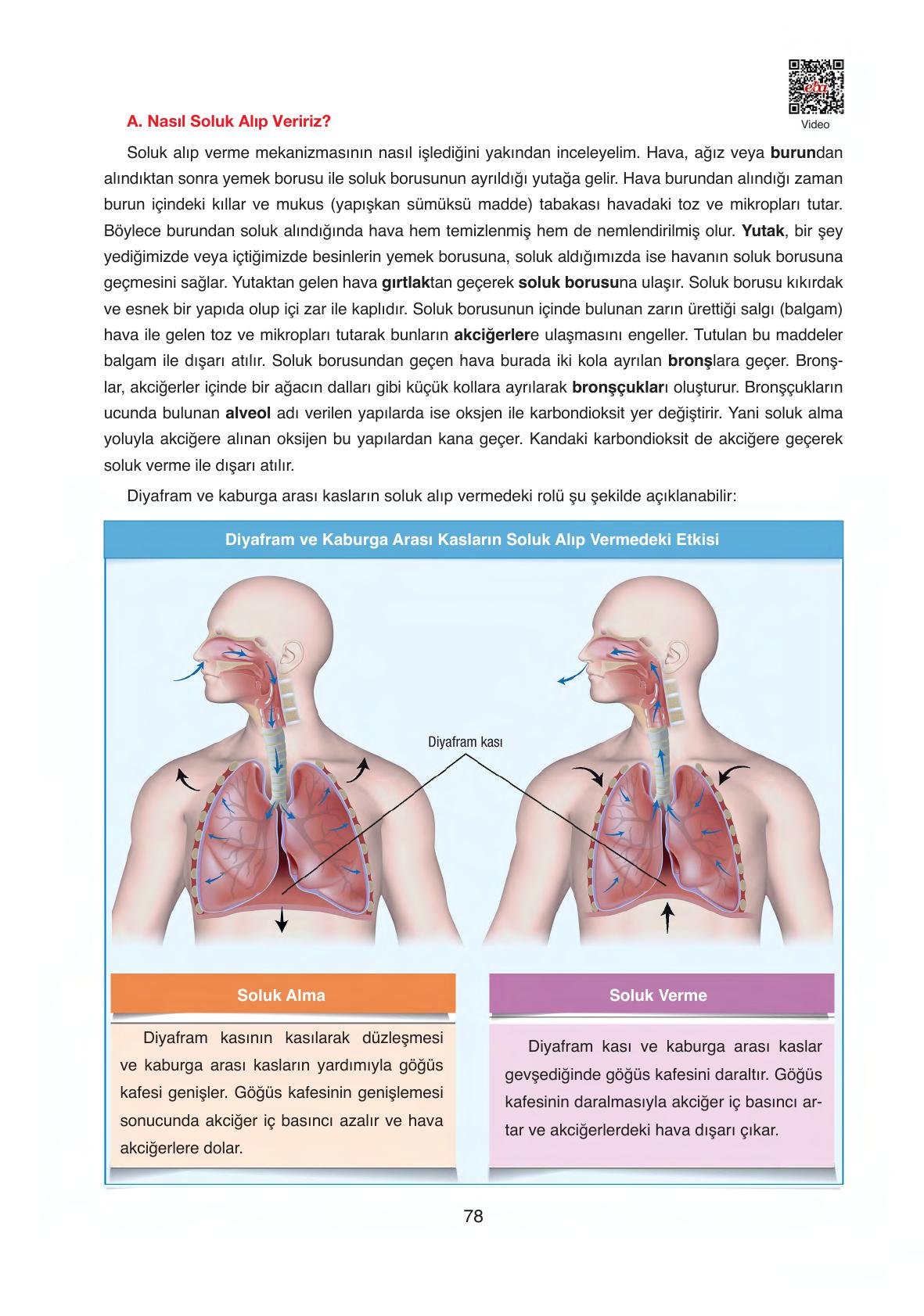 6. Sınıf Gün Yayınları Fen Bilimleri Ders Kitabı Sayfa 78 Cevapları