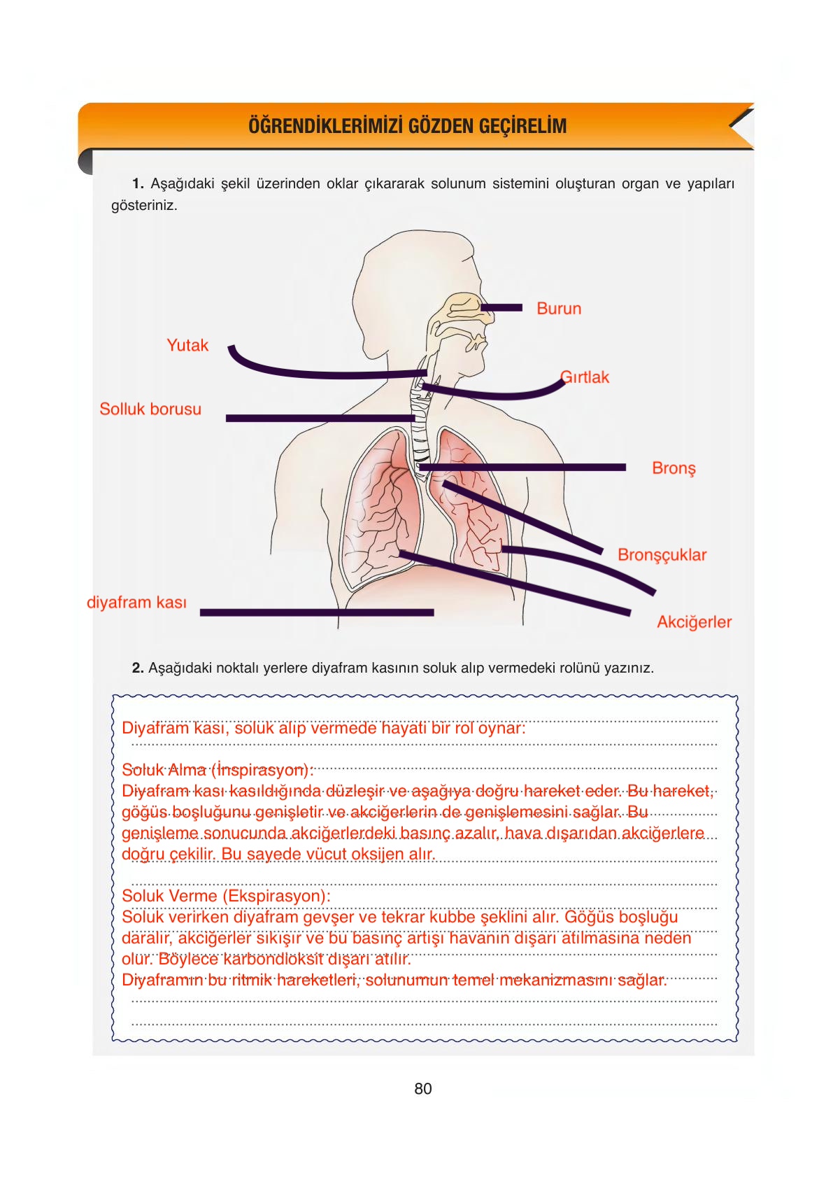 6. Sınıf Gün Yayınları Fen Bilimleri Ders Kitabı Sayfa 80 Cevapları