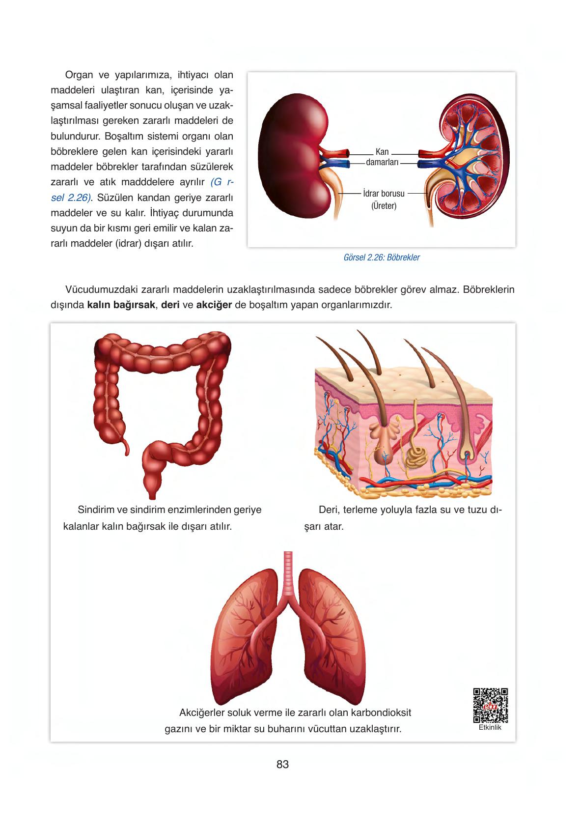 6. Sınıf Gün Yayınları Fen Bilimleri Ders Kitabı Sayfa 83 Cevapları