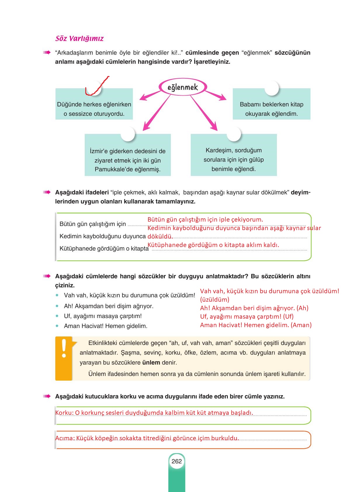 6. Sınıf Yıldırım Yayınları Türkçe Ders Kitabı Sayfa 262 Cevapları