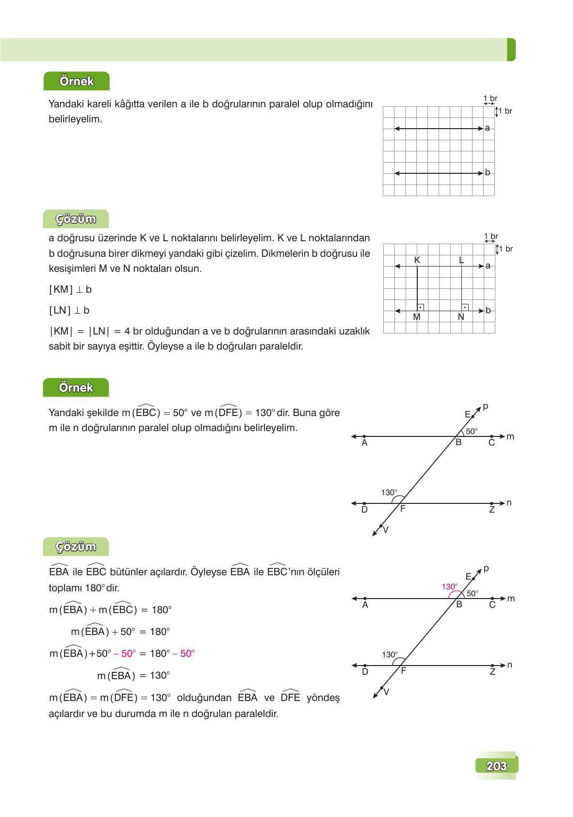 7. Sınıf Edat Yayınları Matematik Ders Kitabı Sayfa 203 Cevapları