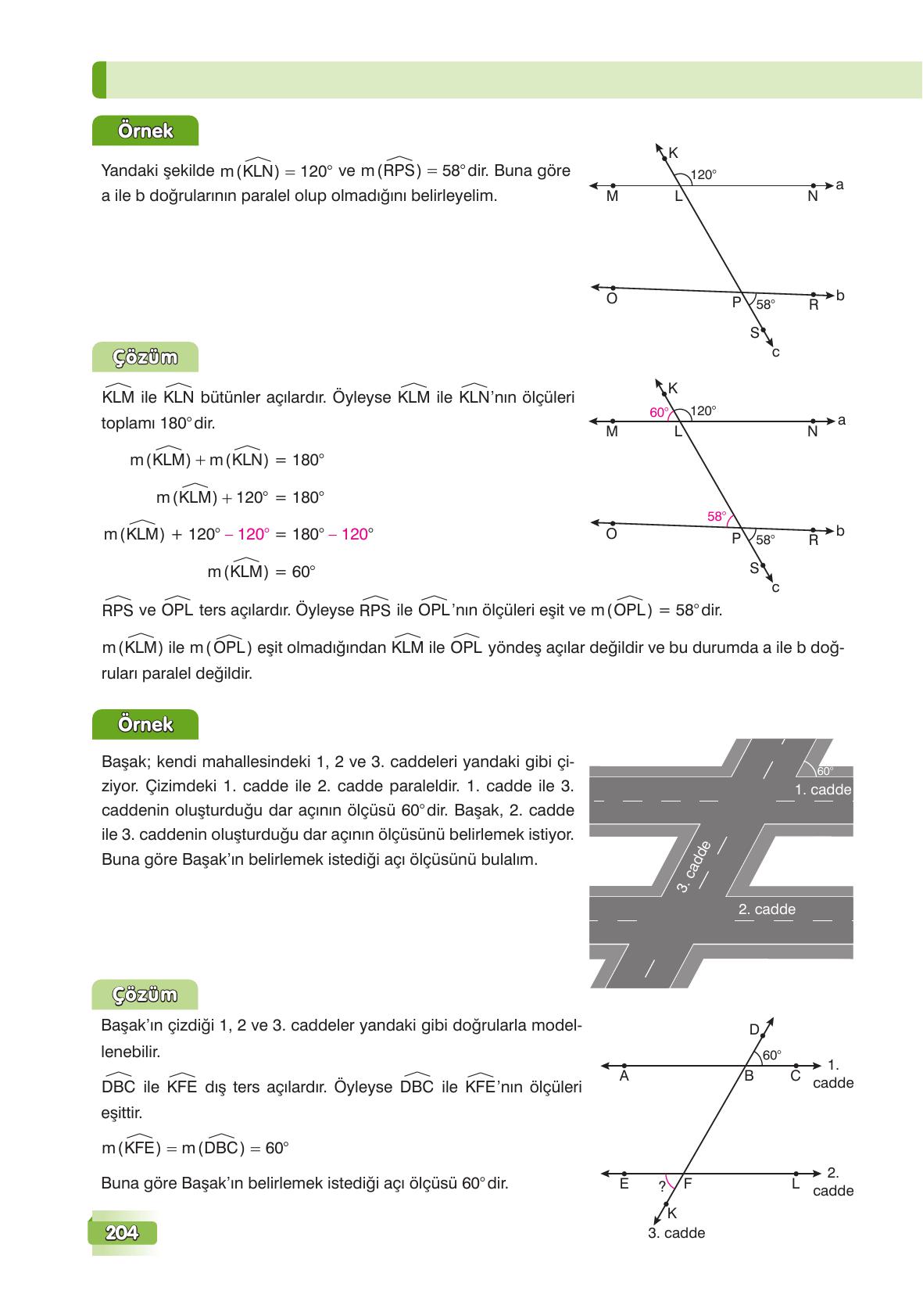 7. Sınıf Edat Yayınları Matematik Ders Kitabı Sayfa 204 Cevapları