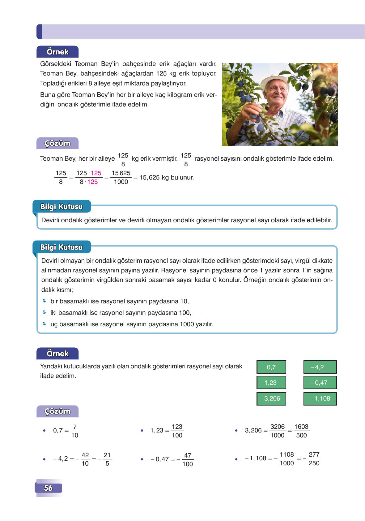 7. Sınıf Edat Yayınları Matematik Ders Kitabı Sayfa 56 Cevapları