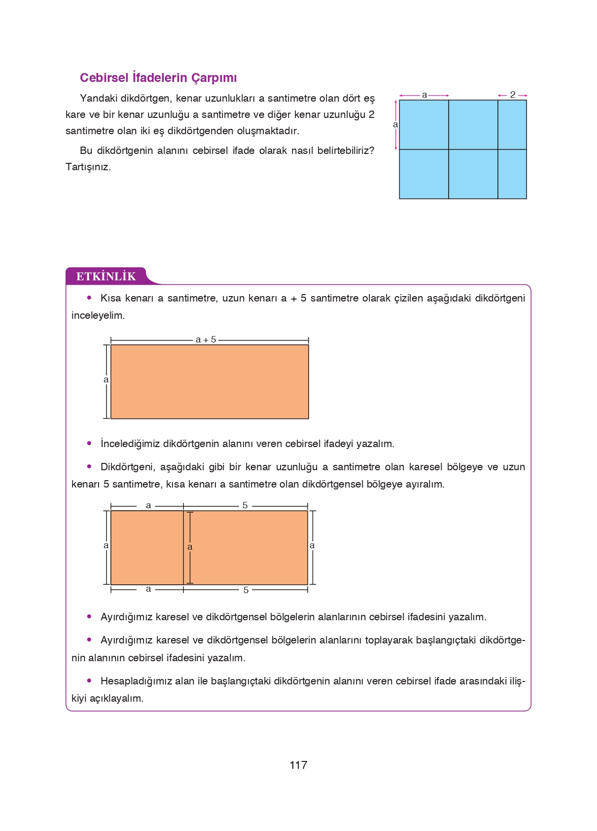 8. Sınıf Ada Matbaacılık Yayıncılık Matematik Ders Kitabı Sayfa 117 Cevapları