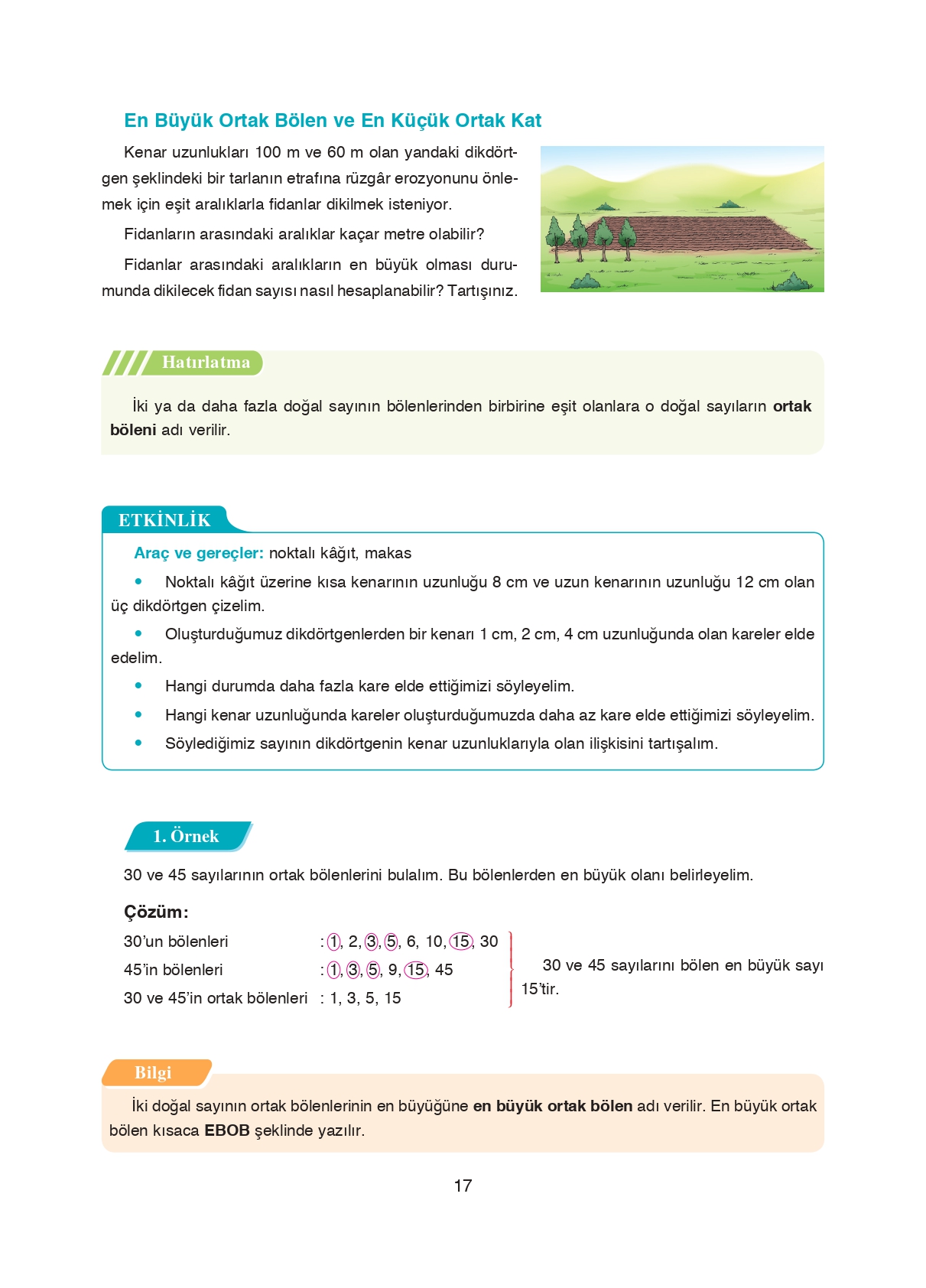 8. Sınıf Ada Matbaacılık Yayıncılık Matematik Ders Kitabı Sayfa 17 Cevapları