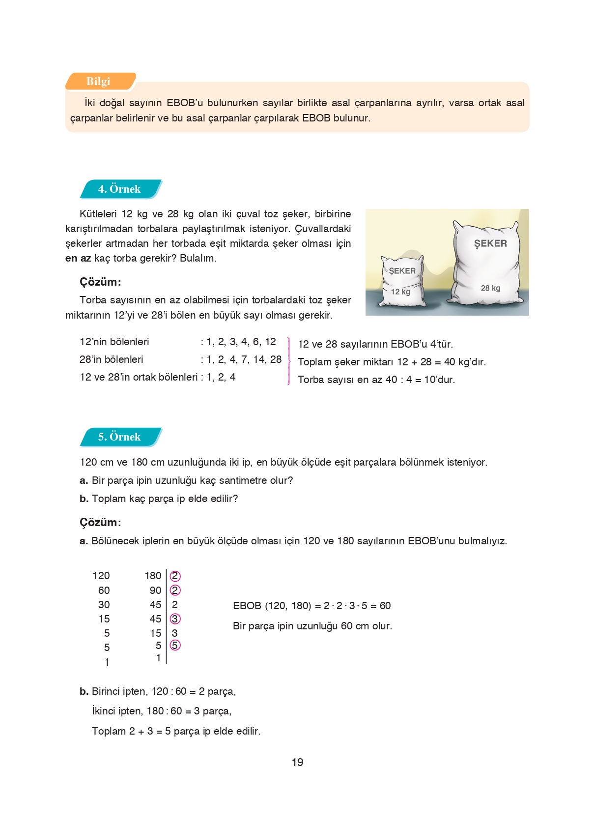 8. Sınıf Ada Matbaacılık Yayıncılık Matematik Ders Kitabı Sayfa 19 Cevapları