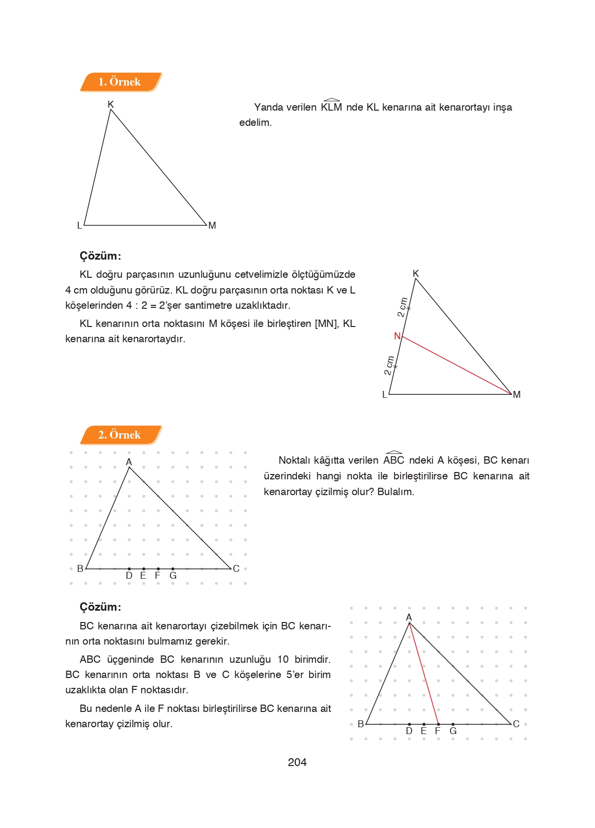 8. Sınıf Ada Matbaacılık Yayıncılık Matematik Ders Kitabı Sayfa 204 Cevapları