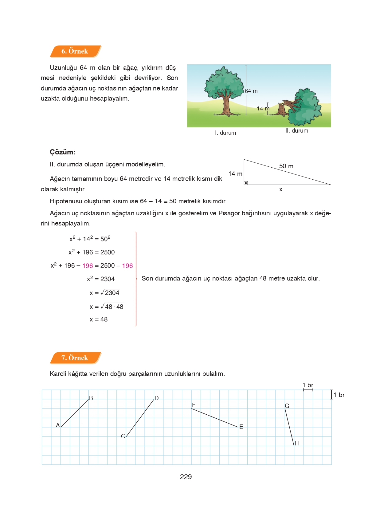 8. Sınıf Ada Matbaacılık Yayıncılık Matematik Ders Kitabı Sayfa 229 Cevapları