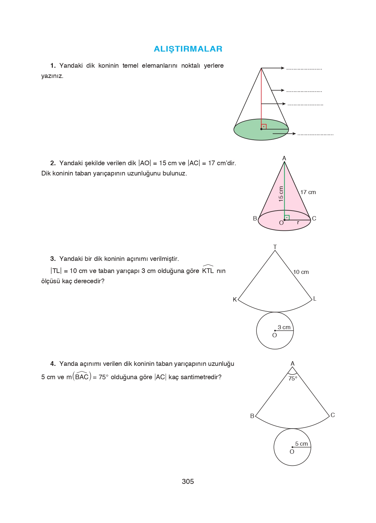 8. Sınıf Ada Matbaacılık Yayıncılık Matematik Ders Kitabı Sayfa 305 Cevapları