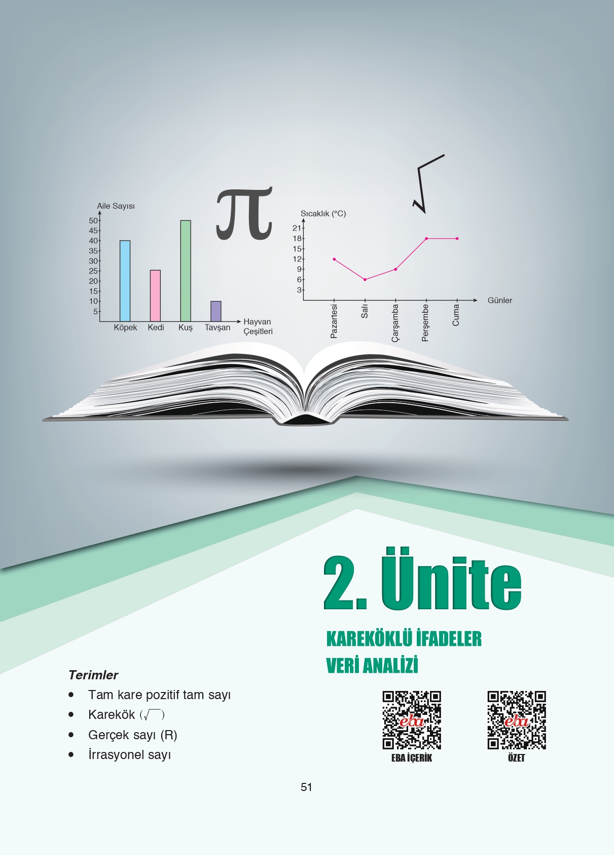 8. Sınıf Ada Matbaacılık Yayıncılık Matematik Ders Kitabı Sayfa 51 Cevapları