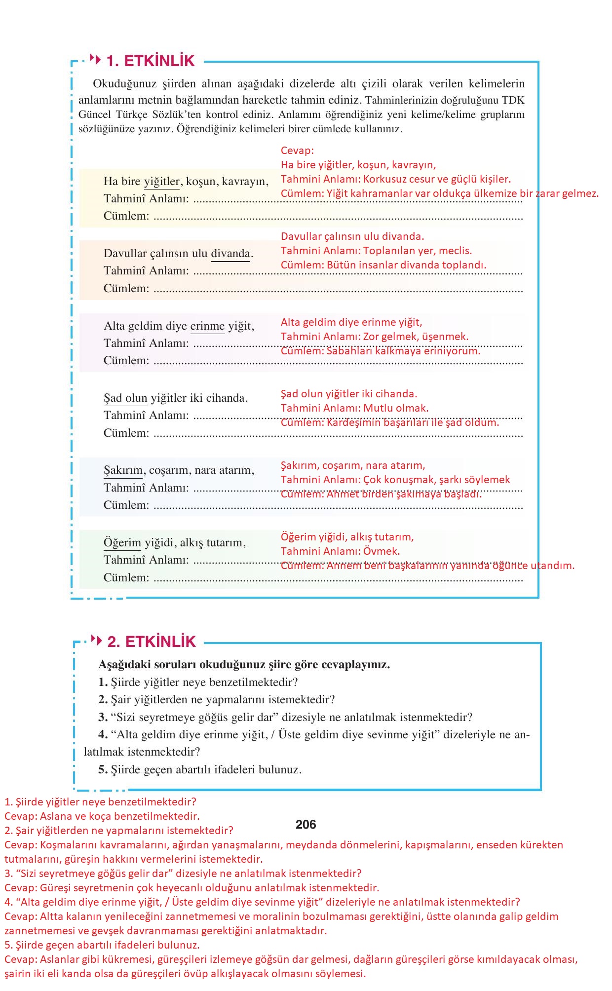 8. Sınıf Hecce Yayıncılık Türkçe Ders Kitabı Sayfa 206 Cevapları