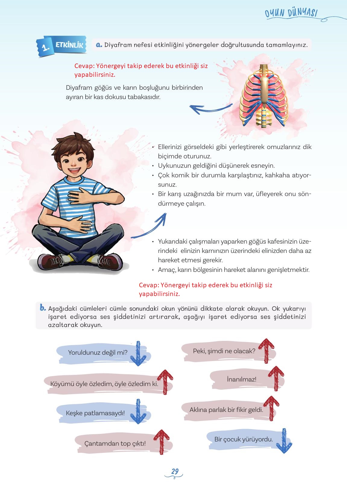 5. Sınıf Meb Yayınları Türkçe 1. Kitap Ders Kitabı Sayfa 29 Cevapları